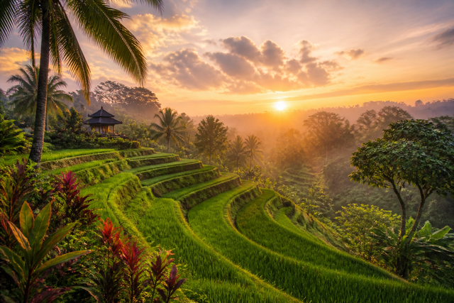 Rizières d’Ubud — séjour Bali Paradisiaque SAMATRIP