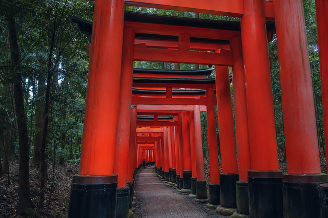 Fushimi Inari, Kyoto — circuit Japon SAMATRIP